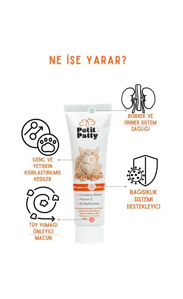 Sterile Paste Ne I╠cs╠ge Yarar